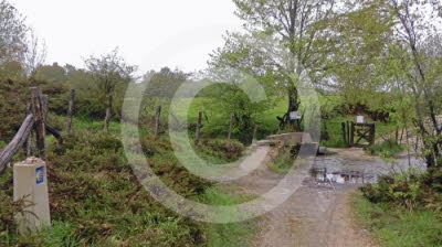 02-c