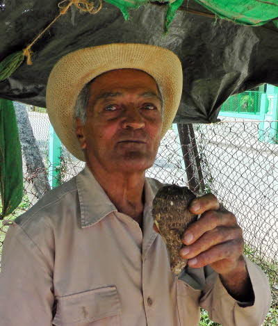 Rostros de Cuba
